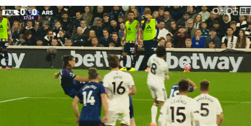 特罗萨德, 裁判查看V, jpg